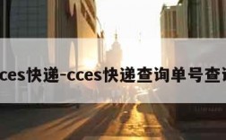 cces快递-cces快递查询单号查询