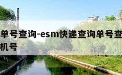 esm单号查询-esm快递查询单号查询追踪手机号