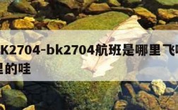 BK2704-bk2704航班是哪里飞哪里的哇