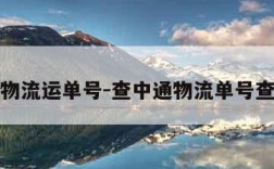 查中通物流运单号-查中通物流单号查询在哪