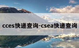 cces快递查询-csea快递查询