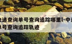 中通快递查询单号查询追踪哪里l-中通快递查询单号查询追踪轨迹