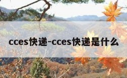 cces快递-cces快递是什么