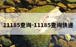 11185查询-11185查询快递