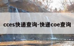 cces快递查询-快递coe查询