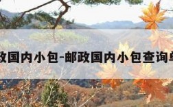 邮政国内小包-邮政国内小包查询单号