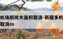 新疆多机场航班大面积取消-新疆多机场航班大面积取消m